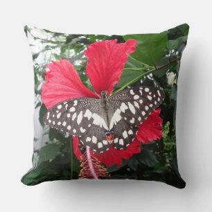 Papillon noir blanc tacheté sur Hibiscus Coussin