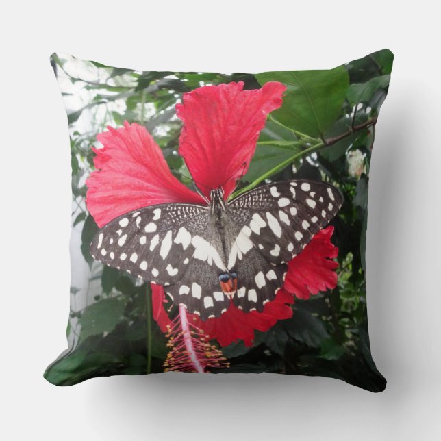 Papillon noir blanc tacheté sur Hibiscus Coussin (Recto)
