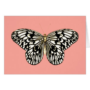 Papillon noir et blanc, arrière - plan rose de