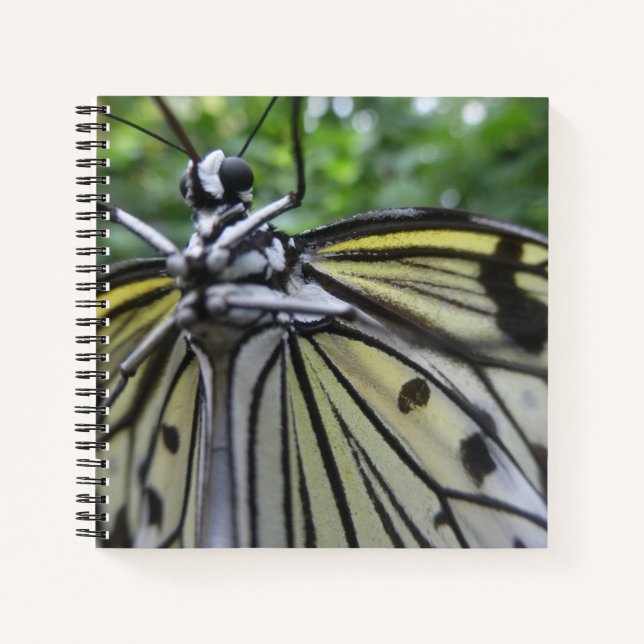 Papillon noir et blanc Carnet de fermeture (Devant)