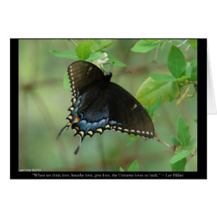 Papillon noir Swallowtail - Dons d'Amour & Vêtemen