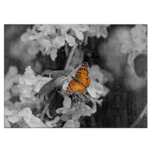 Papillon orange sur la planche à découper