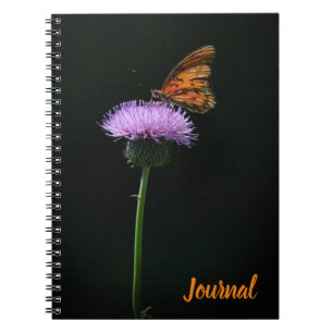 Papillon orange sur le Journal des fleurs violette