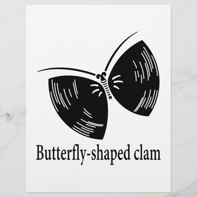 papillon palourde (Devant)