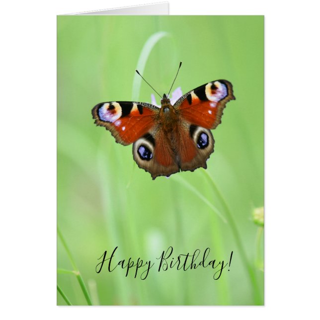 Papillon paon (Devant)