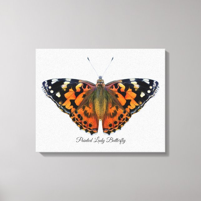 Papillon-papillon peint Aquarelle Peinture toile (Recto)