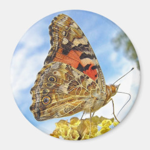 Papillon peint Lady Magnet
