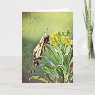 Papillon Peinture Écriture Carte 1 Pierre 5:6-7