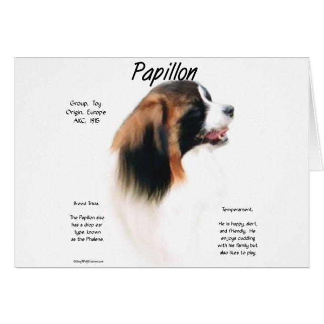 Papillon (Phalene) Conception historique (Devant horizontal)