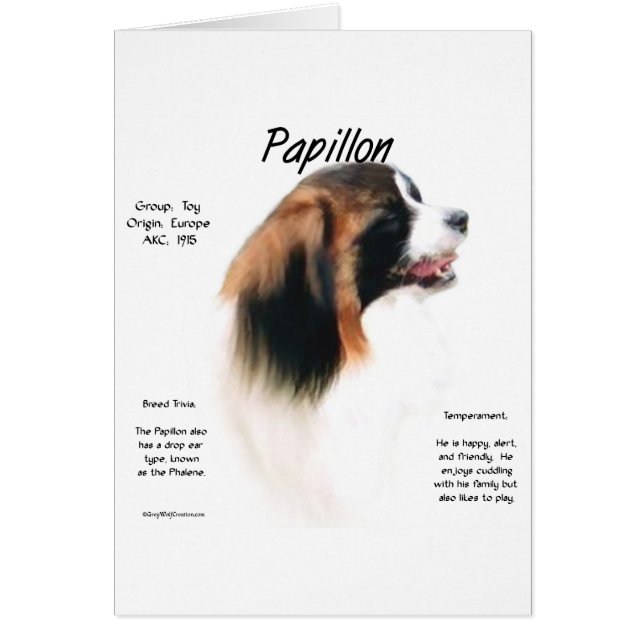 Papillon (Phalene) Conception historique (Devant)