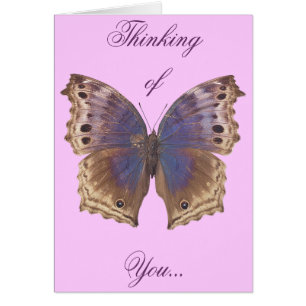 Papillon pourpre magnifique