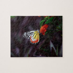 Papillon - puzzles