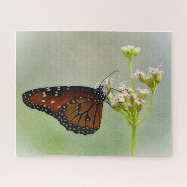 Papillon Reine sur Fleurs Nature Gros Puzzle (Horizontal)