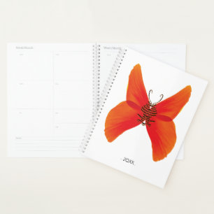 Papillon rouge orange avec votre nom