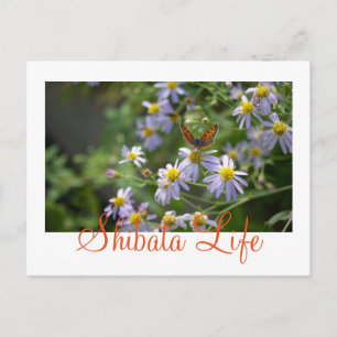 Papillon Shibatamachi, Miyagi, Japon Carte postale