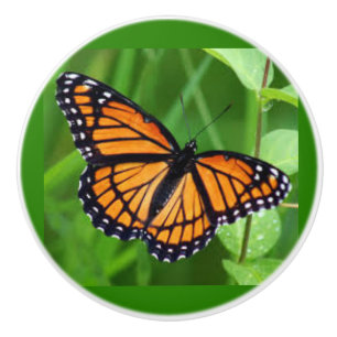 Papillon sur des boutons et des pulls en céramiqu