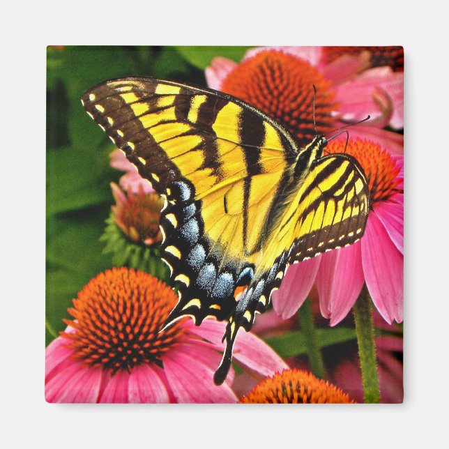 Papillon sur Flower v22 Magnet (Devant)