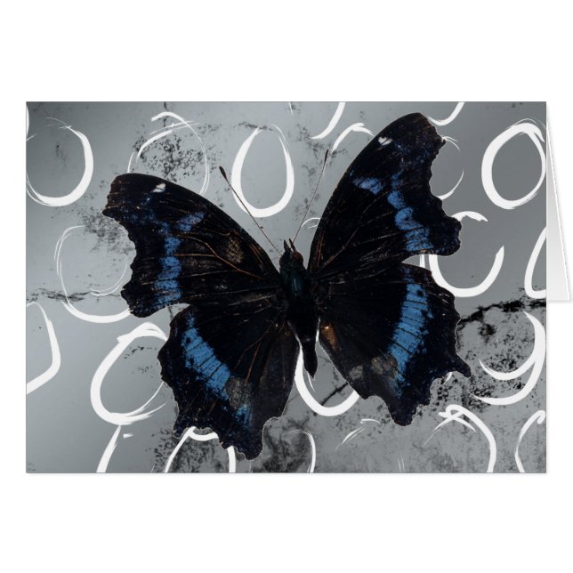 Papillon sur fond argenté avec cercles vides à l'i (Devant Horizontal)