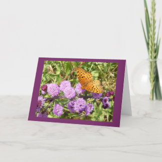 Papillon sur la carte de note blanche Gayfeather