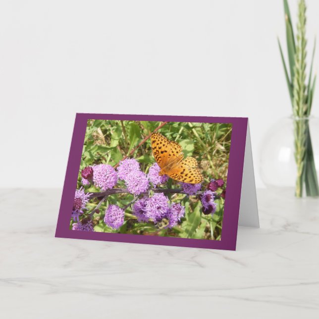 Papillon sur la carte de note blanche Gayfeather (Devant)