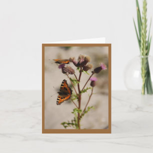 Papillon sur la carte Plante