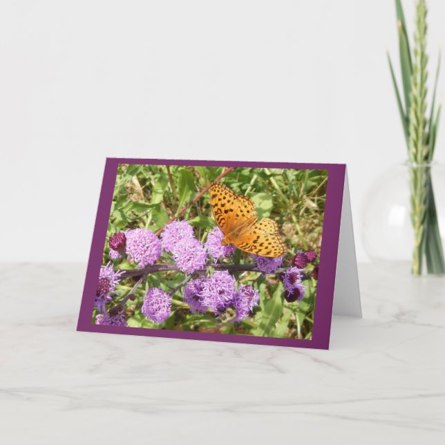 Papillon sur le carte pour notes en blanc de (Devant)