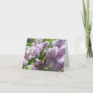 Papillon sur le carte pour notes lilas