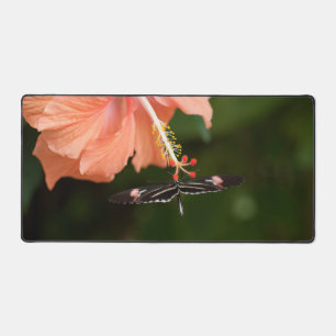 Papillon sur le mât de bureau à fleurs
