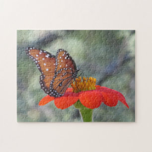 Papillon sur le puzzle de tournesol mexicain