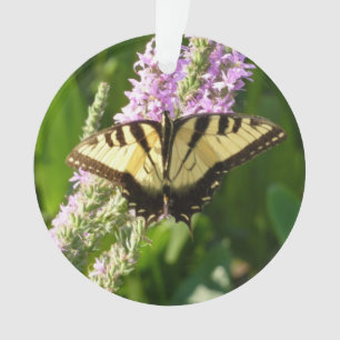 Papillon Swallowtail sur Fleurs sauvages pourpres