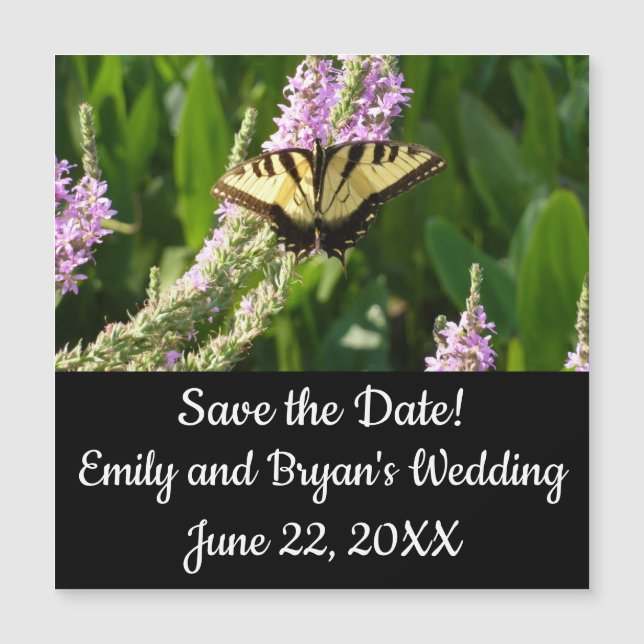 Papillon Swallowtail sur Fleurs sauvages pourpres (Devant)