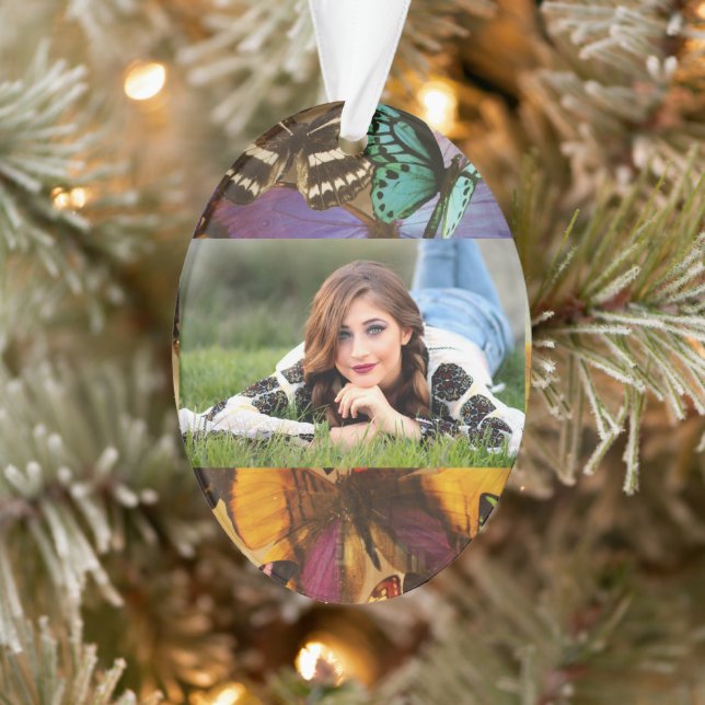 papillon tropical violet bordeaux orange (Arbre)