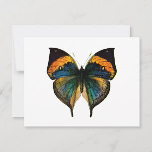 Papillon vintage - 1800's Antique Butterfly Litho
