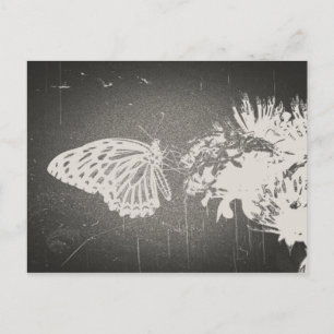 Papillon vintage - Cartes postales