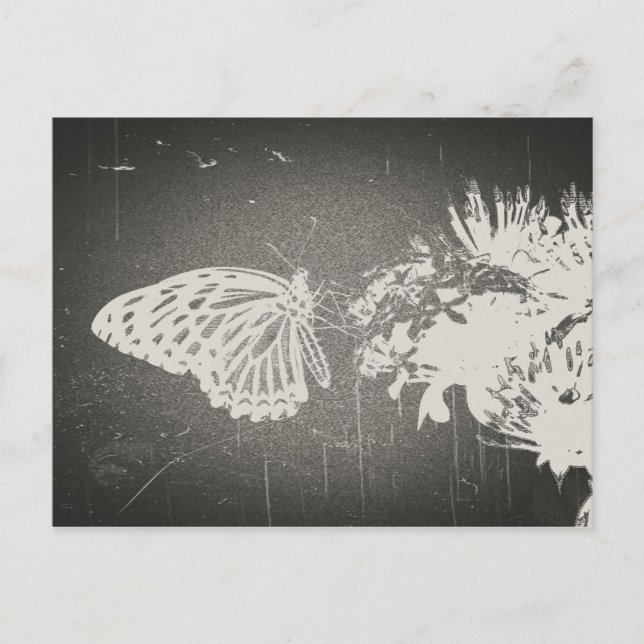Papillon vintage - Cartes postales (Devant)
