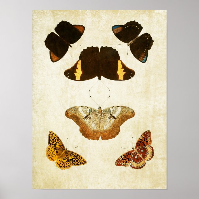 Papillon vintage Impression 057 (Devant)