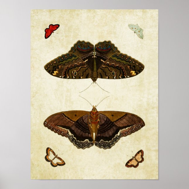 Papillon vintage Impression 170 (Devant)