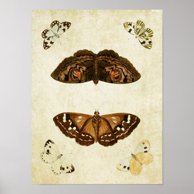 Papillon vintage Impression 171 (Devant)