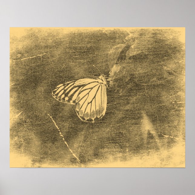 Papillon vintage sur la Fleur #2 Affiches (Devant)