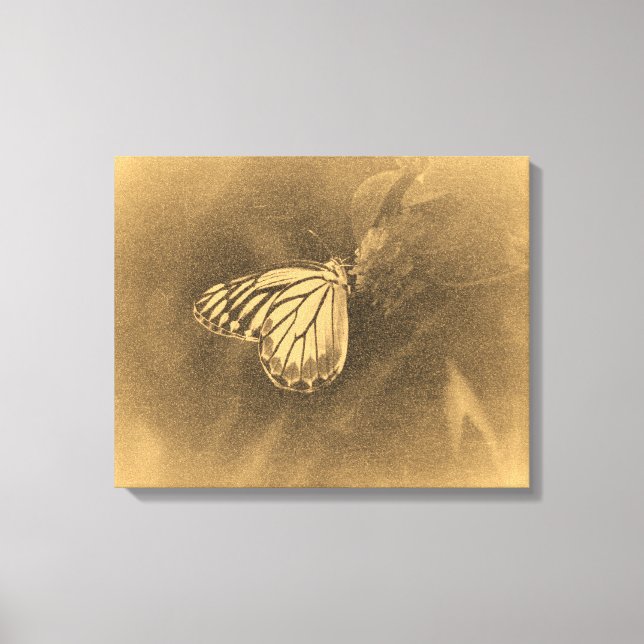 Papillon vintage sur toile enveloppée de fleurs (Recto)