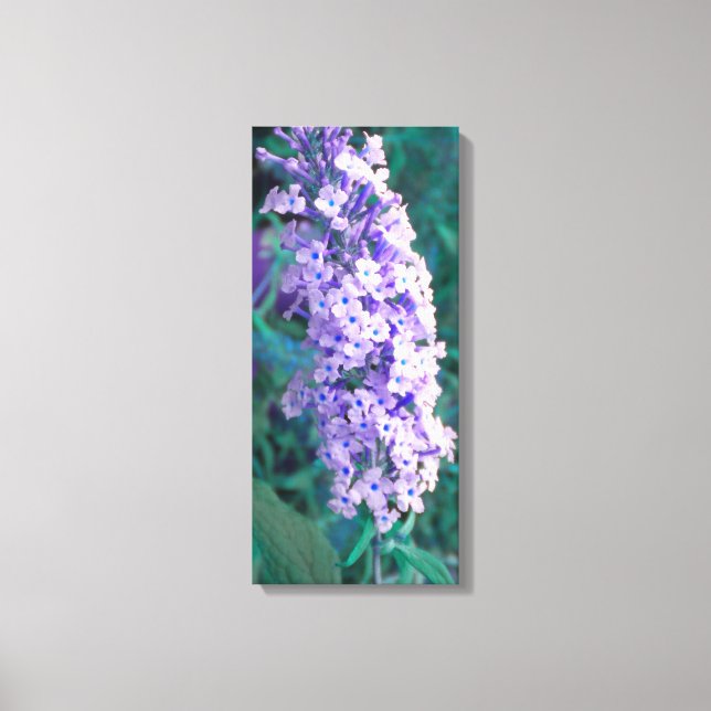 Papillon violet Bush toile enveloppée (Recto)