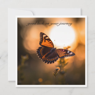 Papillon volant au coucher du soleil, personnalisa