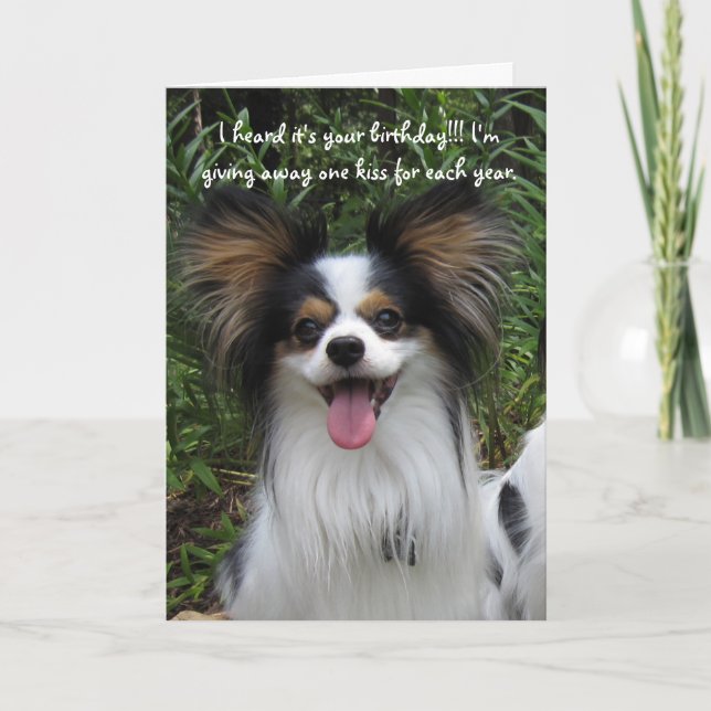 Papillon Vous êtes comme la vieille carte d'annive (Devant)