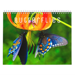 Papillons [1] Calendrier mural