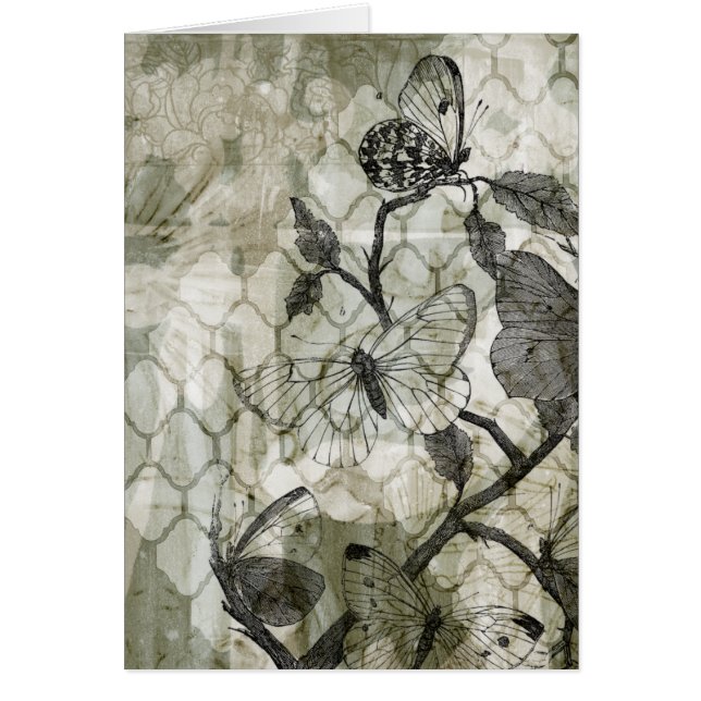 Papillons arabes II (Devant)