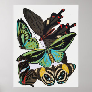 Papillons Art Déco