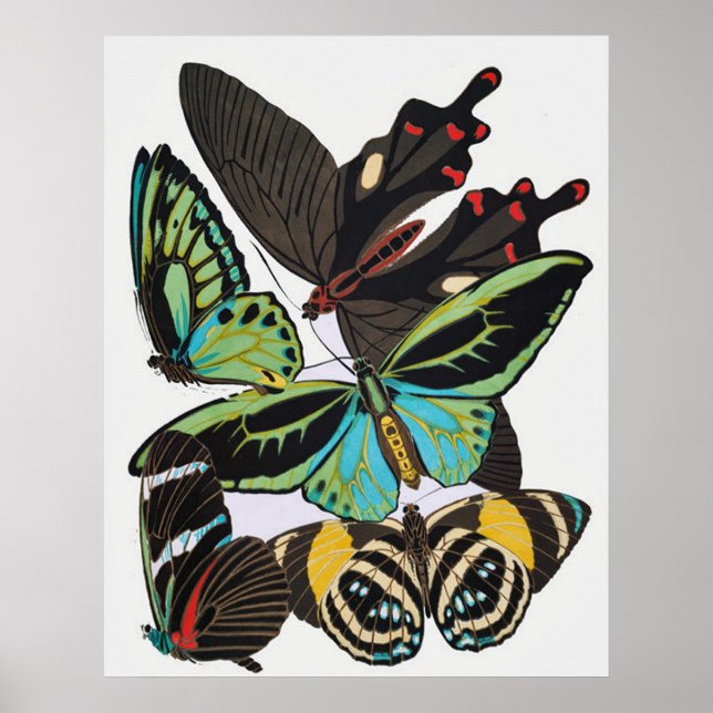 Papillons Art Déco (Devant)