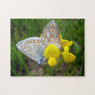 Papillons bleus communs Puzzle photo avec boîte ca