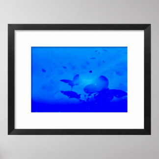 Papillons bleus encadrés Poster de peinture