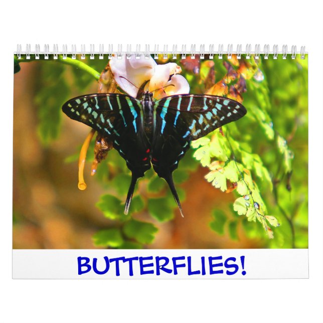 Papillons ! Calendrier (Protection)